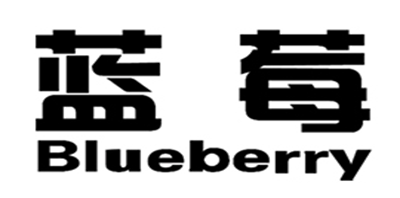 喷码机十大品牌排名NO.1