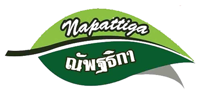 娜帕蒂卡/Napattiga