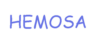 Hemosa是什么牌子_黑沙品牌怎么样?
