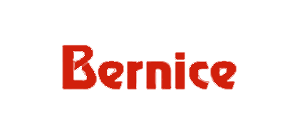 bernice是什么牌子_bernice品牌怎么样?