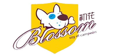 BLOSSOM是什么牌子_初花品牌怎么样?