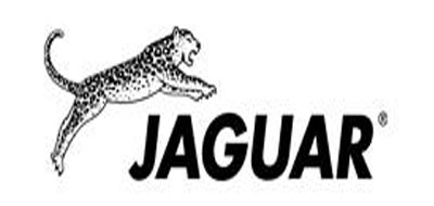 JAGUAR是什么牌子_丛林豹品牌怎么样?