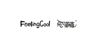 feelingcool是什么牌子_feelingcool品牌怎么样?