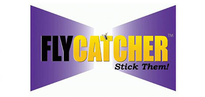 Flycatcher是什么牌子_Flycatcher品牌怎么样?