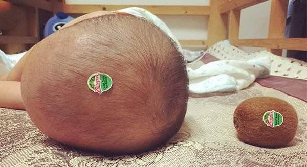 小鲜果