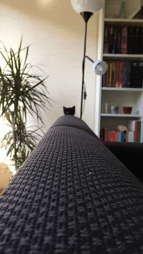 走秀