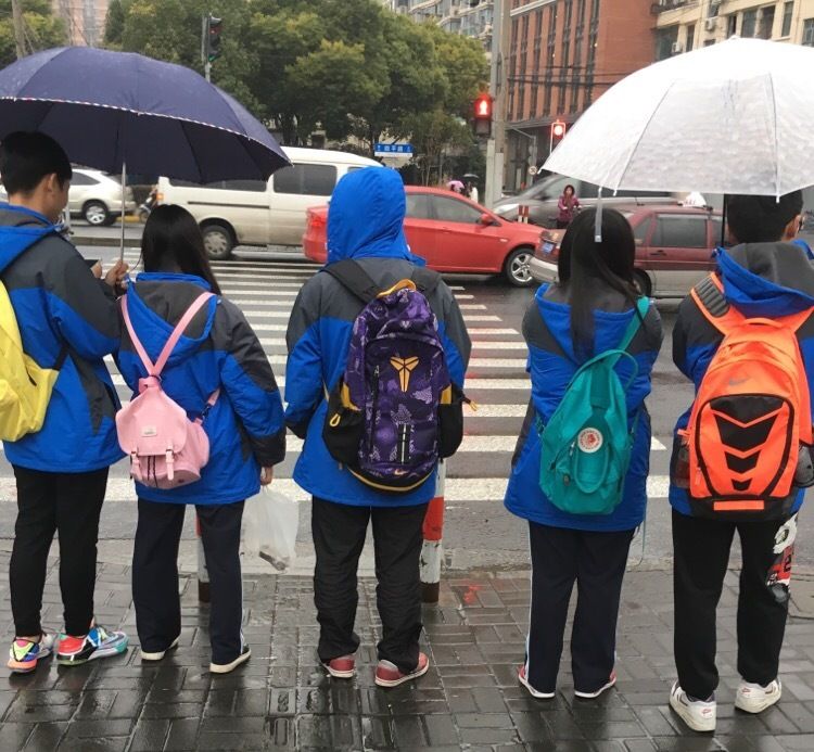 中间这个看着真可怜 中间这个看着真可怜