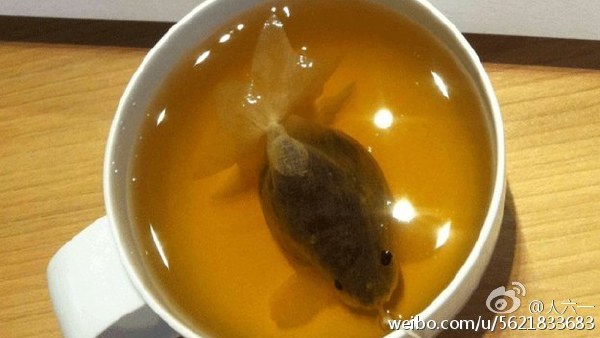 别致的小金鱼茶包 别致的小金鱼茶包
