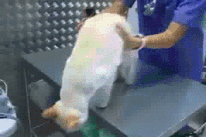 我打赌你之前肯定不知道夹子还可以这么用 我打赌你之前肯定不知道夹子还可以这么用