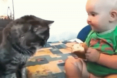 好兄弟,一起吃 好兄弟,一起吃