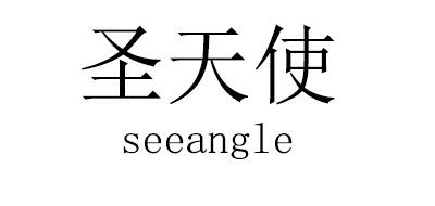 SEEANGEL是什么牌子_圣天使品牌怎么样?