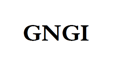 GNGI是什么牌子_GNGI品牌怎么样?