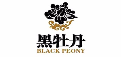黑牡丹/Blackpeony