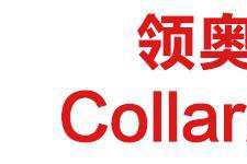 领奥平衡车怎么样?自己看吧! 领奥平衡车怎么样?自己看吧!