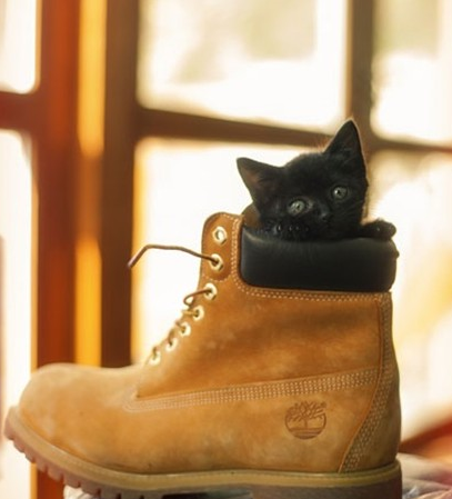 真皮马丁靴怎么保养穿的更长久呢? 真皮马丁靴怎么保养穿的更长久呢?