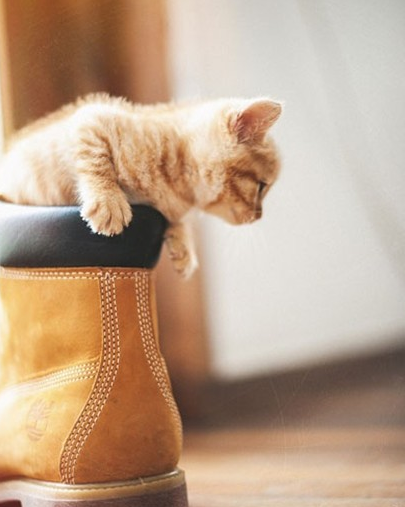 真皮马丁靴怎么保养穿的更长久呢? 真皮马丁靴怎么保养穿的更长久呢?