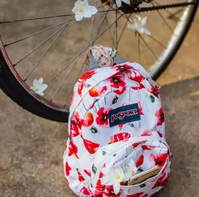 jansport双肩包怎么样?价格贵不贵? jansport双肩包怎么样?价格贵不贵?