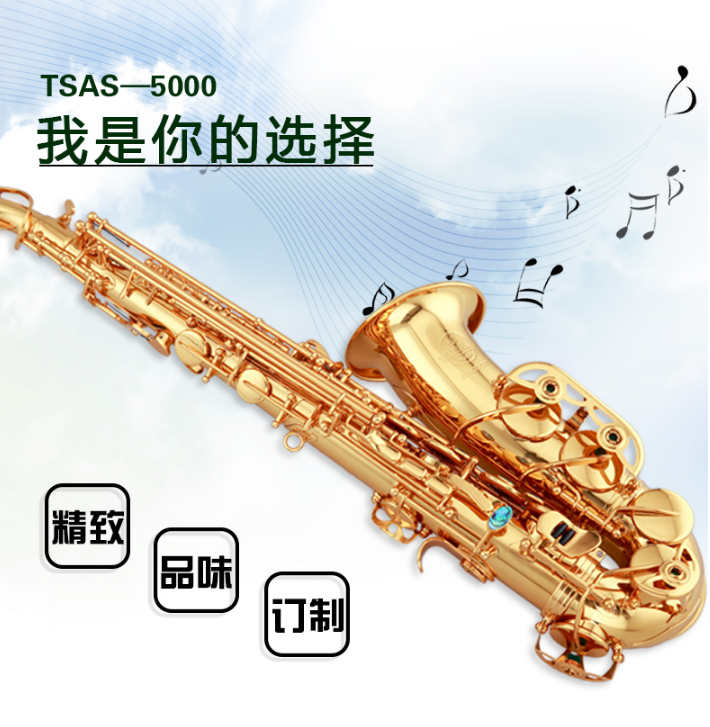 请问泰山的中音萨克斯,大概多少钱入手比较靠谱?