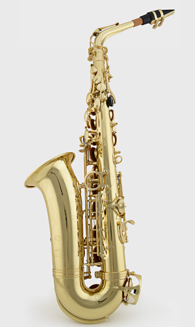 有谁知道国产的萨克斯哪个牌子的好些,如星海、泰山、津宝等? 有谁知道国产的萨克斯哪个牌子的好些,如星海、泰山、津宝等?