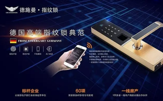德施曼（Dessmann）指纹锁怎么样呢？