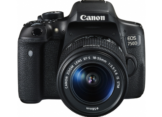 推荐几款初学者适合用的单反相机? 推荐几款初学者适合用的单反相机?