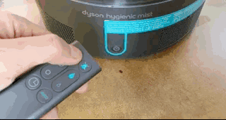 Dyson AM10 和巴慕达 rain的加湿器谁更值得买？