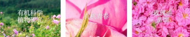 推荐几款香薰精油品牌?Le Labo香薰精油好不好?