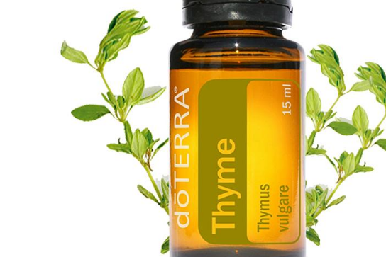 百里香精油怎么样,有哪些好处? 百里香精油怎么样,有哪些好处?