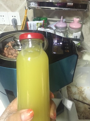 贝尔斯顿家用榨油机怎么样？值不值得买？