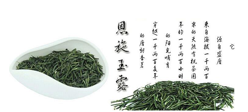 “立早”和“金果”恩施玉露茶哪个贵些？性价比呢？