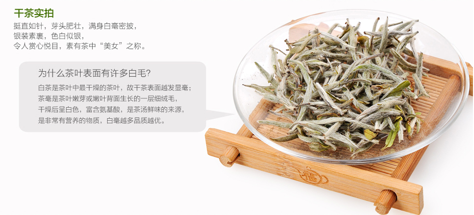 “品品香”和“绿雪芽”白茶牌子怎样？价格贵吗？性价比高吗？