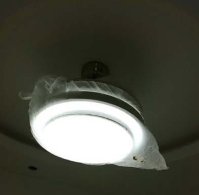 领王吊扇灯怎么样?领王吊扇灯是杂牌的吗? 领王吊扇灯怎么样?领王吊扇灯是杂牌的吗?