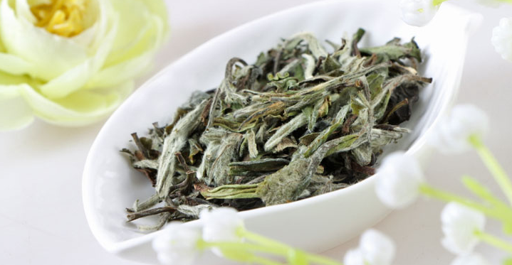 “绿雪芽”白茶价格贵不贵?性价比怎样? “绿雪芽”白茶价格贵不贵?性价比怎样?