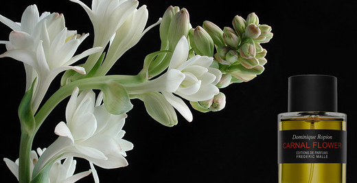 香水那个牌子好?德瑞克·马尔Frederic Malle香水怎么样? 香水那个牌子好?德瑞克·马尔Frederic Malle香水怎么样?