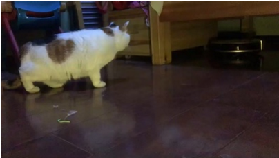 浦桑尼克扫地机有什么功能?好不好? 浦桑尼克扫地机有什么功能?好不好?