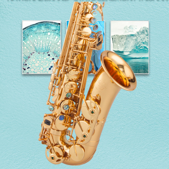 泰山萨克斯是老牌子吗？音色准吗？