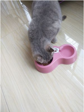 好主人猫粮好不好？价格怎么样？