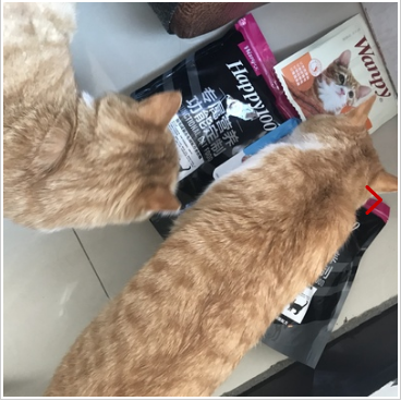 顽皮猫粮值不值得买?销量怎么样? 顽皮猫粮值不值得买?销量怎么样?