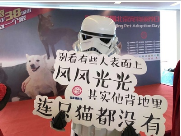 巅峰猫粮口碑如何?值得购买吗? 巅峰猫粮口碑如何?值得购买吗?