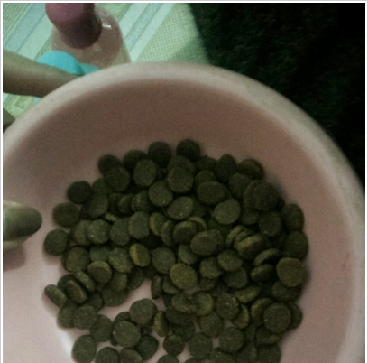 爱肯拿猫粮品质好吗？口碑如何？