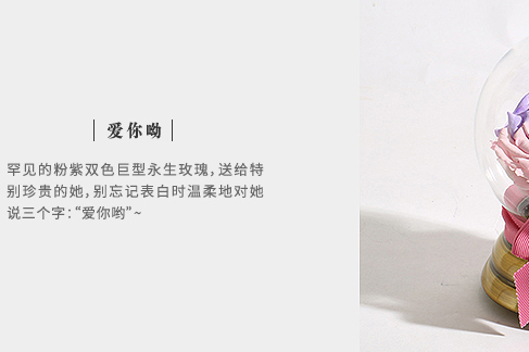 THE BEAST野兽派永生花为什么贵？野兽派永生花怎么样？