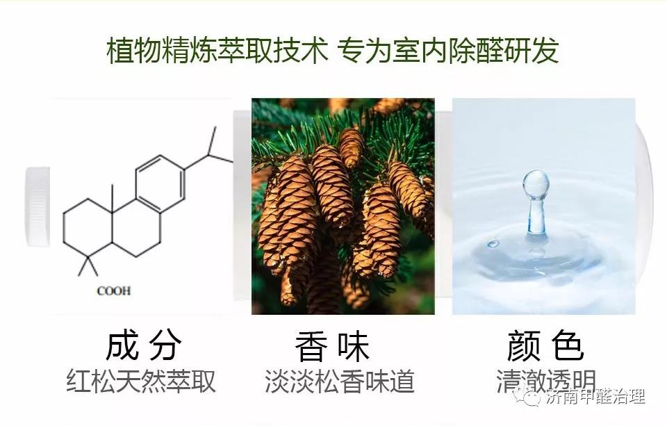 家有松林空间治理-百年松林，您身边的守护神