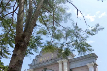 卡西欧数码相机怎么样?优缺点是? 卡西欧数码相机怎么样?优缺点是?