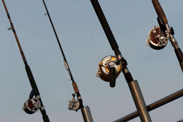 国产鱼竿什么牌子好?值得推荐的鱼竿品牌有哪些? 国产鱼竿什么牌子好?值得推荐的鱼竿品牌有哪些?