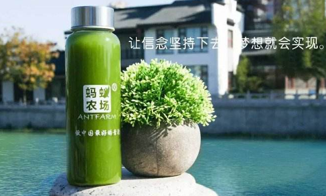 蚂蚁农场青汁和日本大麦若叶青汁哪个好？