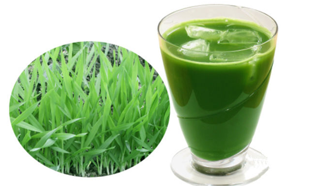 日本pola樱花系列青汁怎么样?pola樱花青汁效果好吗? 日本pola樱花系列青汁怎么样?pola樱花青汁效果好吗?