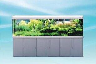 森森鱼缸怎么样? 森森鱼缸怎么样?