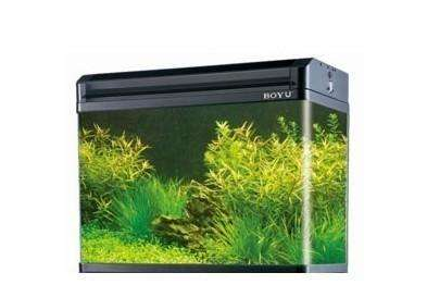 博宇鱼缸质量怎么样?好吗? 博宇鱼缸质量怎么样?好吗?