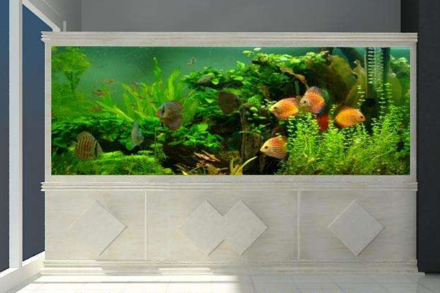 日生鱼缸价格?日生鱼缸怎么样? 日生鱼缸价格?日生鱼缸怎么样?