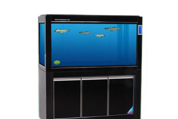 闽江水族鱼缸怎么样?好吗? 闽江水族鱼缸怎么样?好吗?